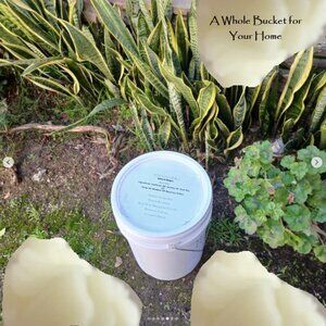 Trees Naturals "Natural Shapes" Body Solve 3 gallon Bucket